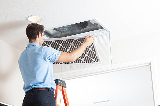 Best Furnace Cleaning in Davenport, FL
